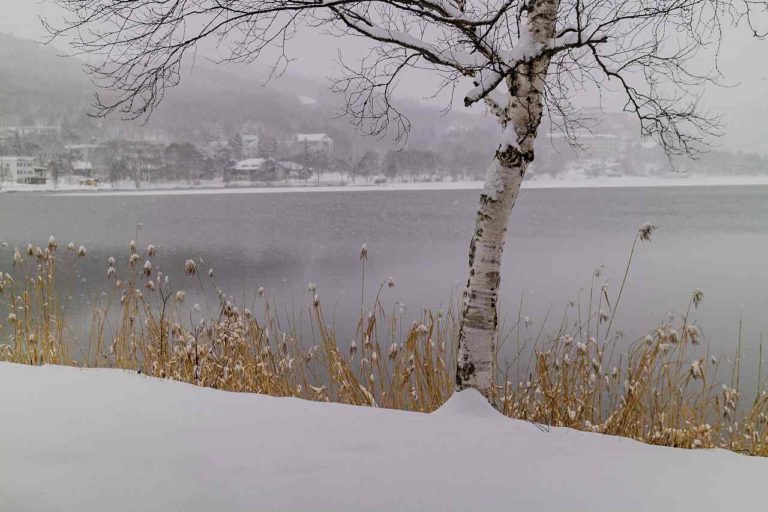 吹雪の中を一人寂しく旅をするイメージの切ないピアノバラート 孤独の旅人 フリー音楽素材 花鳥風月