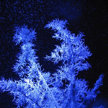 真冬の寒い夜をイメージした冷たい感じのミディアムバラート「frozen night」